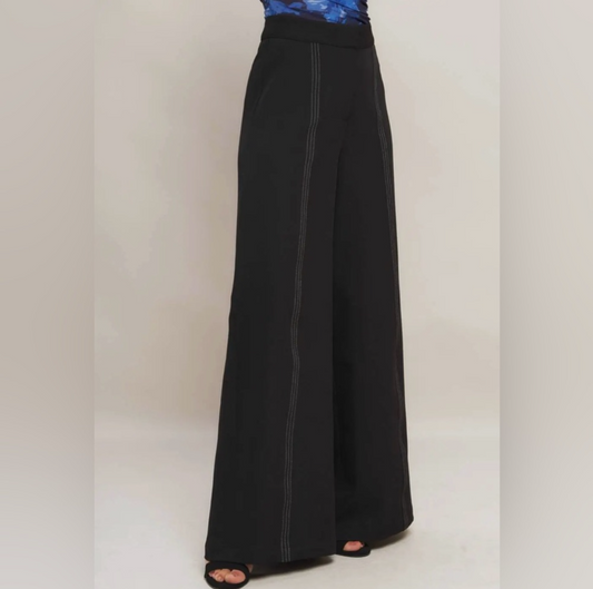 Celine, runway ready palazzo pant